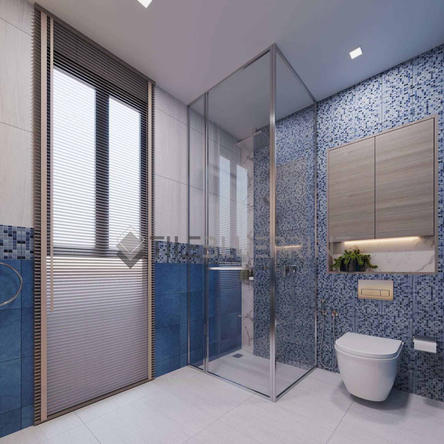 BATHROOM CODE FCTMBR11